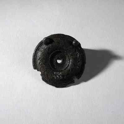 Phalera