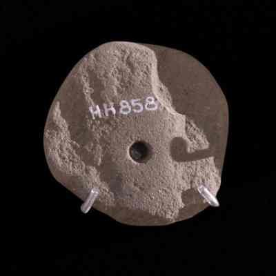 Spindle Whorl