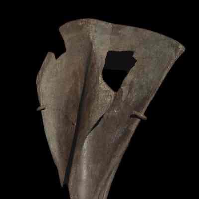 Boar Bone