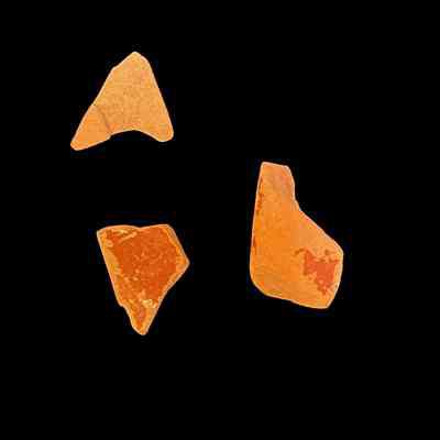 Samian ware sherds