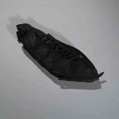 Shoe / calceus