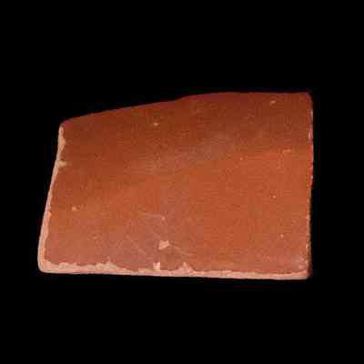 Samian Ware Fragment
