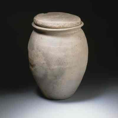 Pottery/ Cinerary Urn
