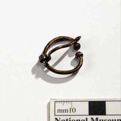 Fibula / brooch