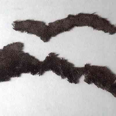 Fragment / textile