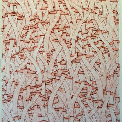 Wave Square School
