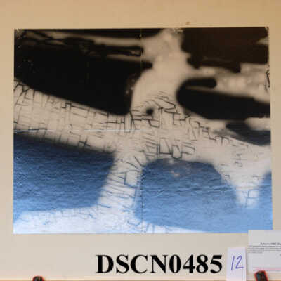 Study for CWSC Photomural