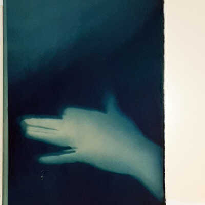 Handmade Dog Cyanotype 21