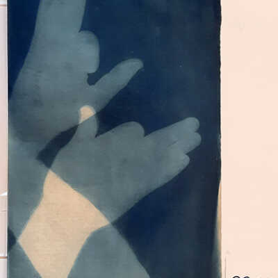 Handmade Dog Cyanotype 13