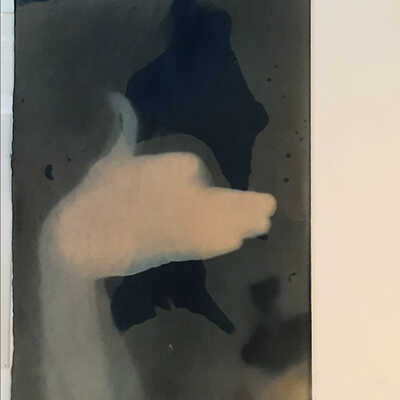 Handmade Dog Cyanotype 18