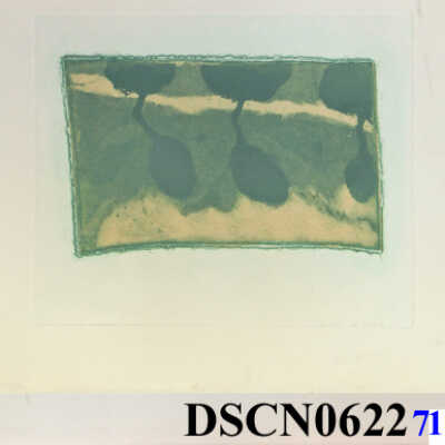 Tree Flag 2