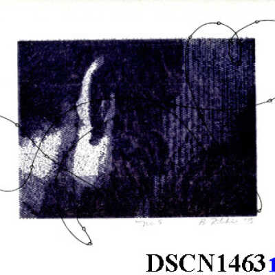 Thirty Six Views of the Locus of Beauty