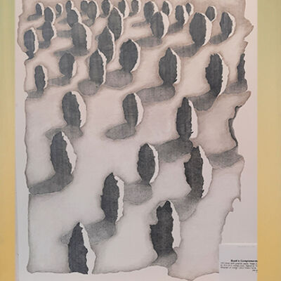 Bushes' Complements #1 (of 4)