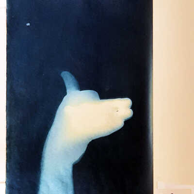 Handmade Dog Cyanotype 8