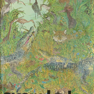 Everglades