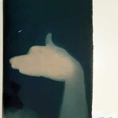 Handmade Dog Cyanotype 31