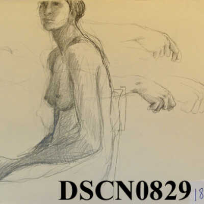 Seated and Hand Studies