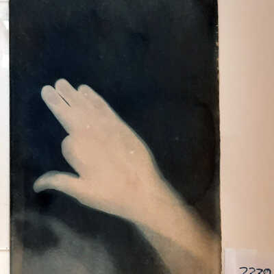 Handmade Dog Cyanotype 1