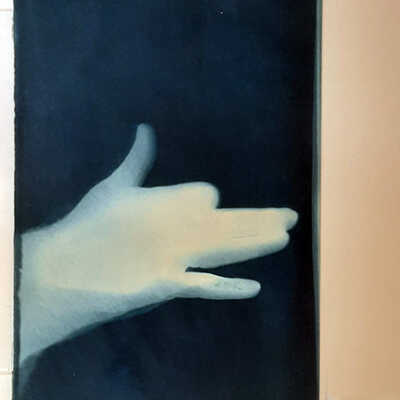 Handmade Dog Cyanotype 14