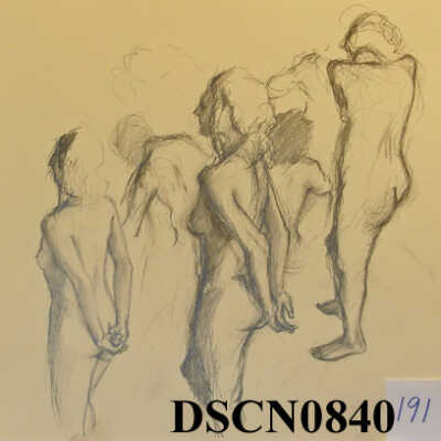 Studies of Women