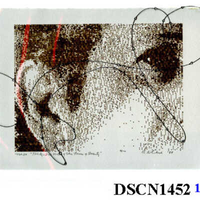 Thirty Six Views of the Locus of Beauty