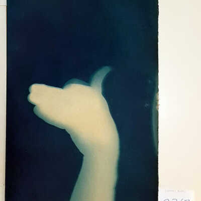 Handmade Dog Cyanotype 29
