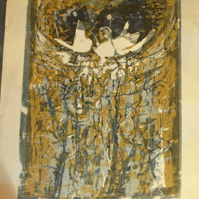 Magpies