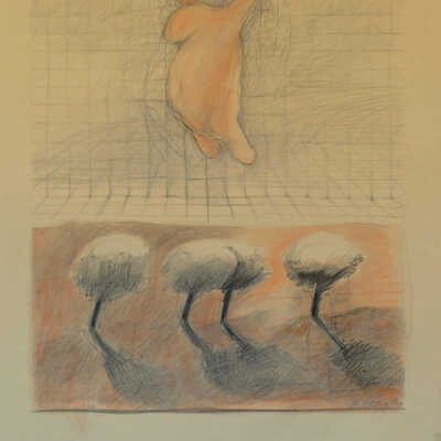 Creature Falls, Four Trees