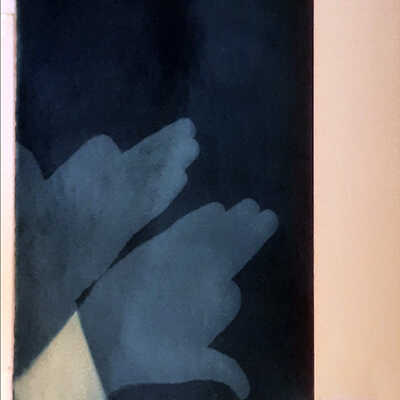 Handmade Dog Cyanotype 26