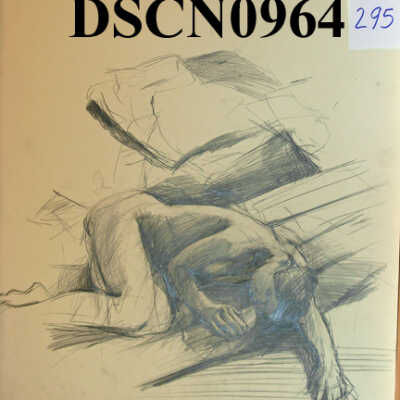 Reclining Amid Furnishings