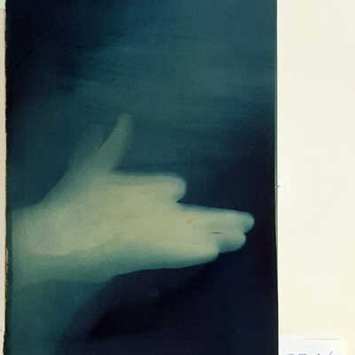Handmade Dog Cyanotype 28