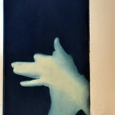 Handmade Dog Cyanotype 19