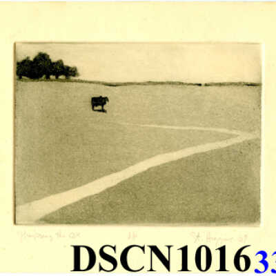 Steve Higgins etching