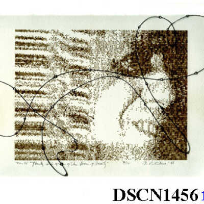 Thirty Six Views of the Locus of Beauty