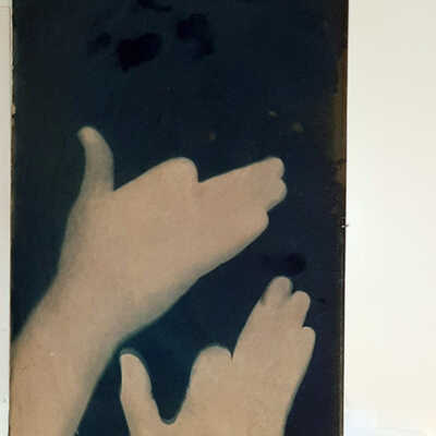 Handmade Dog Cyanotype 32