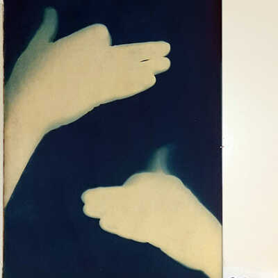Handmade Dog Cyanotype 22