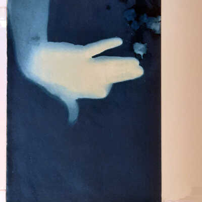 Handmade Dog Cyanotype 6