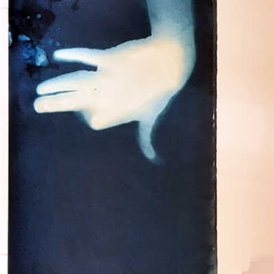 Handmade Dog Cyanotype 11
