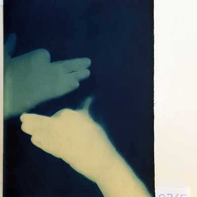 Handmade Dog Cyanotype 27