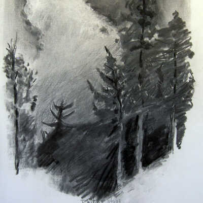 Trees with Cloud