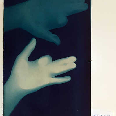 Handmade Dog Cyanotype 30