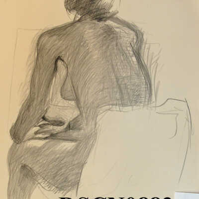 Seated from Behind