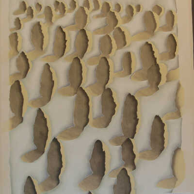Bush's Complements IV
