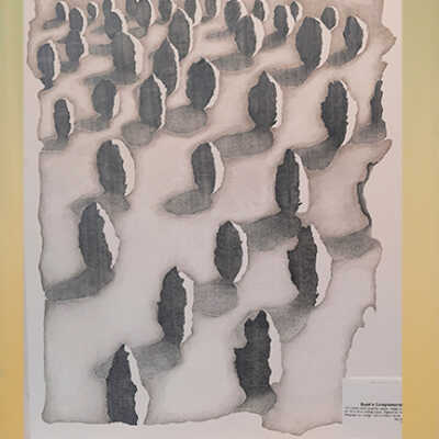 Bush's Complements #1