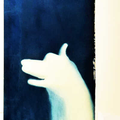 Handmade Dog Cyanotype 7