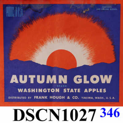 Autumn Glow