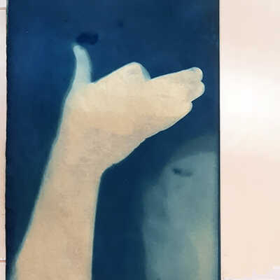 Handmade Dog Cyanotype 12