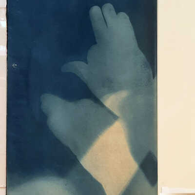 Handmade Dog Cyanotype 4