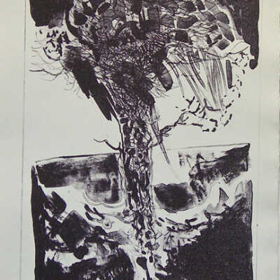 Rain Tree