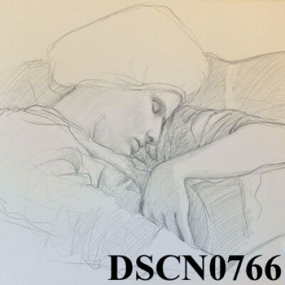 Lynda Napping